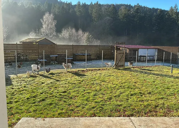 Coquelicot Les Coeurs Du Tilleul Holiday home